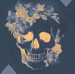 Meet your Posher, Dakota rayne